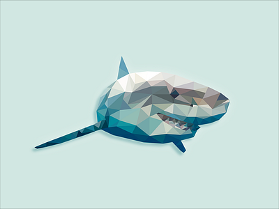 Geometric Shark amateur art design flat geometric animal geometric shapes graphicdesign illustration shark week triangle vector