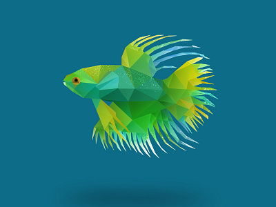 Japanese Fighting Fish. animal animals cute animals fish goldfish low poly low polygon pets photoshop photoshop cc vector vector art