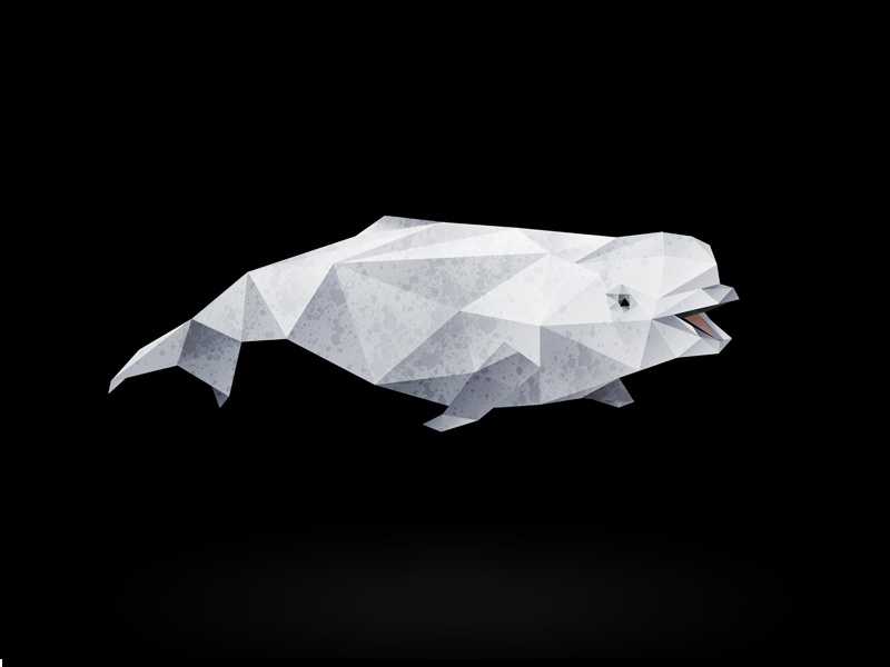 Beluga Whale. dolphin cute animals animals photoshop vector low poly low polygon vector art photoshop cc whale beluga whale