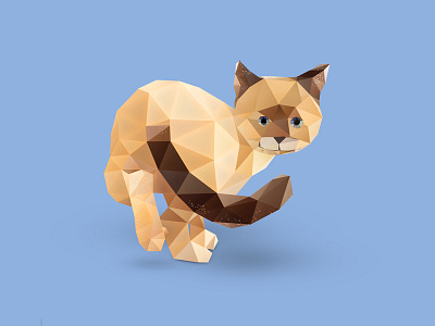Balinese Cat. animals balinese cat cat cats cute animals kitten low poly low polygon photoshop photoshop cc vector vector art