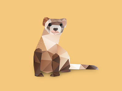 Ferret. animals cute animals dribbble ferret ferrets low poly low polygon photoshop photoshop cc vector vector art