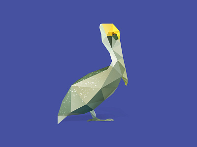 Pelican. animals bird birds dribbble inspire low poly low polygon pelican photoshop photoshop cc vector vector art