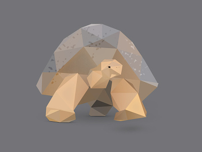 Tortoise. animals cute animals inspire low poly low polygon photoshop tortoise turtle turtles vector