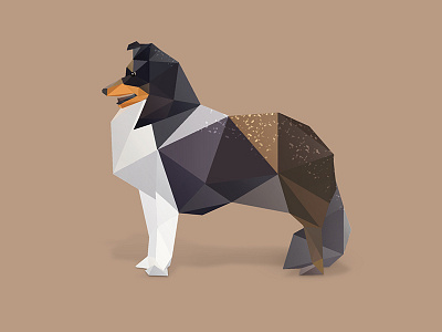 Collie. adobe animal animals collie dog illustration inspire low poly low polygon photoshop puppy vector