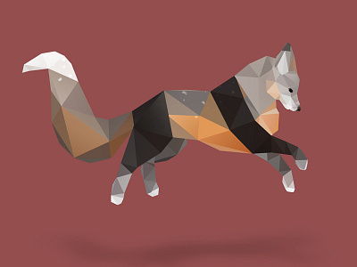 Silver Cross Fox. animals best vector dribbble fox illustration inspire low poly low polygon nature photoshop red fox vector