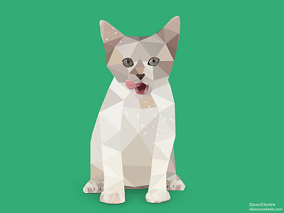 Kitten. animal animals cat cats illustration kitten kittens logo low poly low polygon pet vector