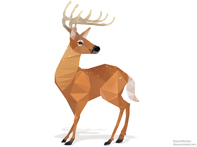 Low Poly White-Tailed Deer. 3d animal animals deer deers fawn illustration logo low poly low polygon vector