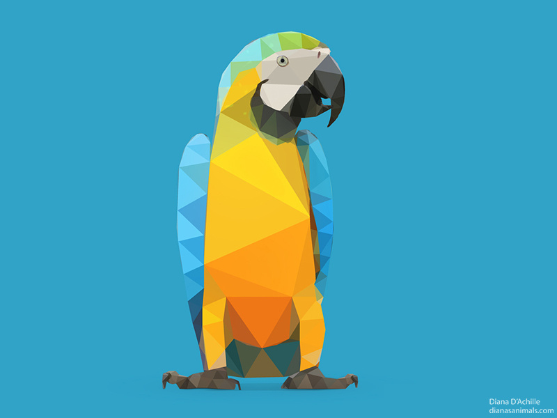 low poly blue and yellow macao parrot