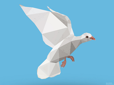 Low Poly Dove 3d animal animals bird dove illustration logo low poly low polygon vector