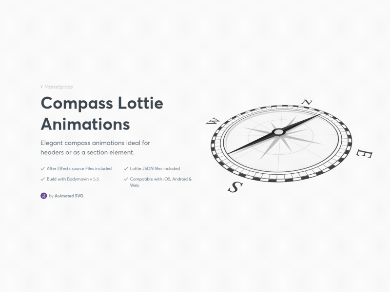 Compass - Lottie animation