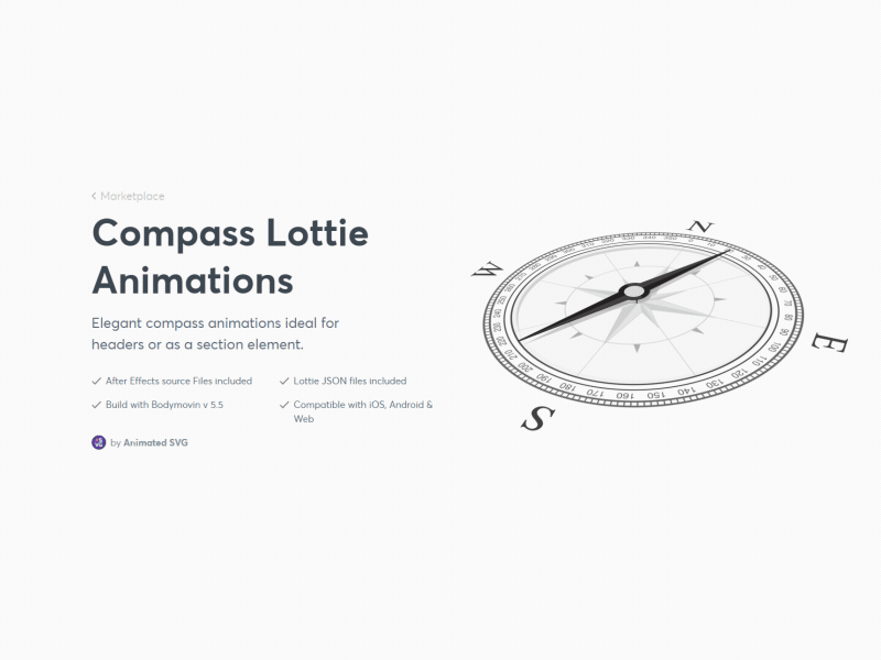 Compass - Lottie animation