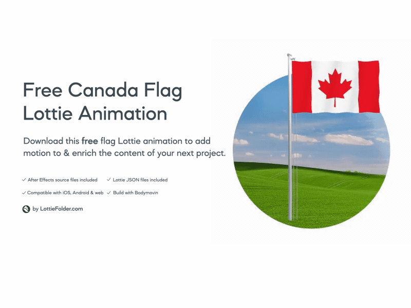 Canada flag - Lottie animation animation canada canada flag canadian flag freebie lottie lottie animation lottiefiles vector animation waving flag