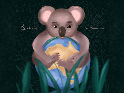 Australia australia koala earth saveplanet