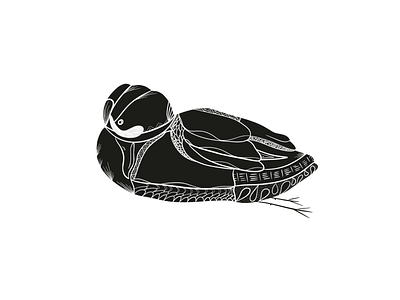 Preening Duck by Julia Barry black and white botanic calm detailed duck ducks fauna flora folk art habitat illustration julia barry lake nordic pattern placid procreate seaweed serene water