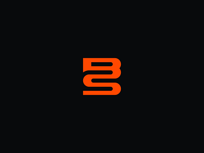BS Logo brand brand design brand identity branding branding design bs bs letter bs logo design letter logo logo design logodesign