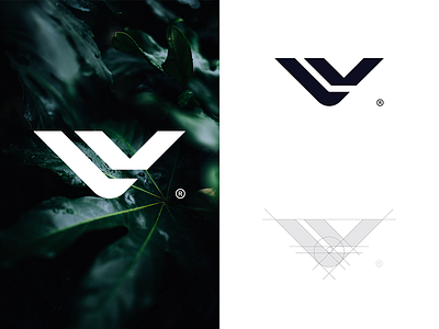 V Logo brand brand design brand identity branding branding design logo logo design logodesign