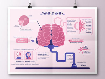 Infographic about brains adobe illustrator brains design facts flat icon illustration illustrator infographic logo medicine minimal neurology vector