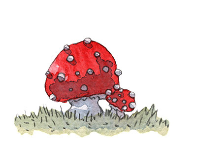 Mushrooms childrensbook fantasy illustration mushrooms picturebook vignette