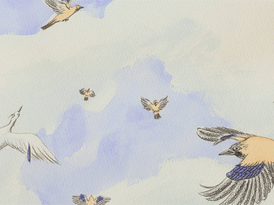 Freedom aquarelle birds childrensbook doublepage fable fantasy illustration picturebook tale threefeathers