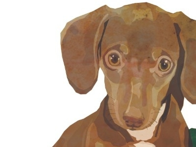 Pup collage digital dog illustration pet portrait puppy watercolour
