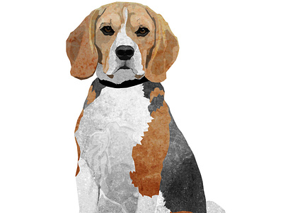 Beagle art collage design digital dog illustration pet portrait watercolour