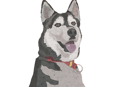 Husky art collage design digital dog illustration pet portrait watercolour