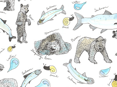 Bears bears illustration pattern pen salmon watercolor