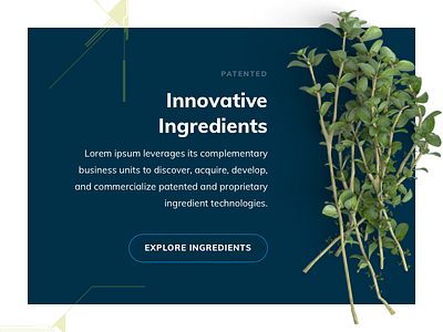 Ingredients ingredients nutrients plants typography vitamins