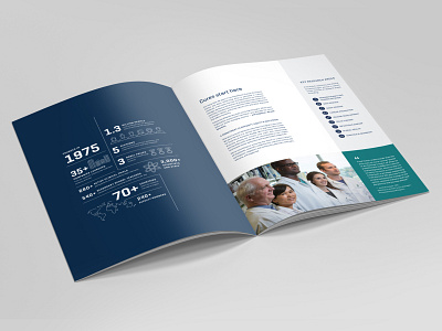 Corporate Publication booklet corporate design flat icon iconography infographic layout print publication typography