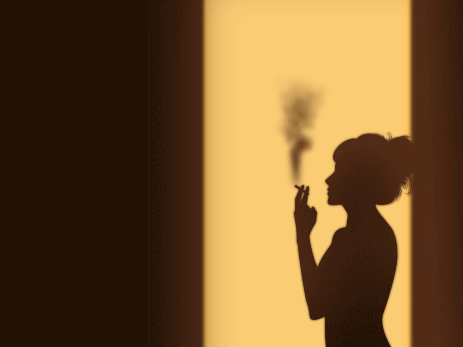 Smoke animated animation design gif illustration loop motion silhouette smoke vector