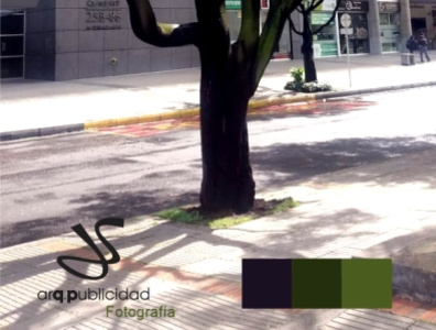 Paleta de colores - Albor Bogota