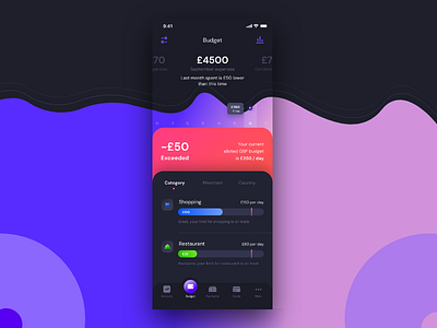 Budget Details | App Design app budget design ui uidesign uxdesign