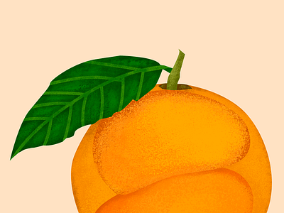Fruits apple fruit illustration illustrator orange pear personalproject textured