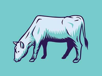Cow Illustration bull cow dairy farm heifer organic pasture