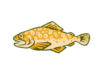 Fish Study 03 cartoon conservation fish fishing fly hunting nature ocean preservation river sea stream streamline style