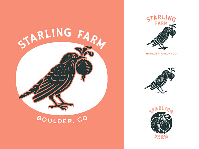 Starling Farm Logo System bird crow farm icon illustration logo monogram raven symbol vintage