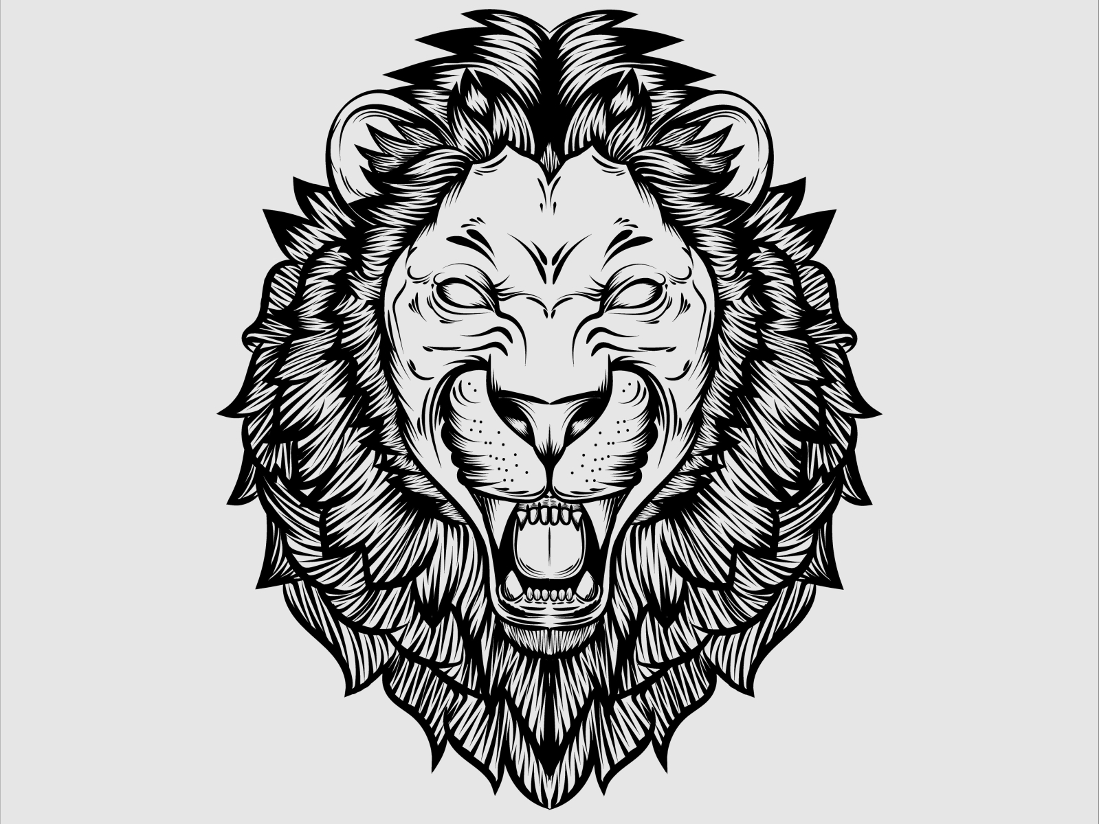 Vector Roaring Lion isolated on white background by bang ridus on ...