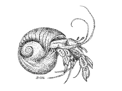 Hermit Crab Illustration Dotwork Stippling