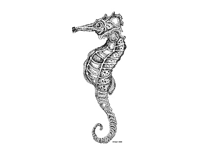 Seahorse Dotwork Drawing