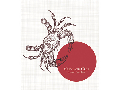 Maryland Crab Graphic for beer can beer branding beer label branding crab crabby crabs craft beer dotwork drawing hand drawn illustration illustration design illustrator maryland old bay
