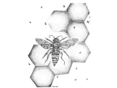 Pen and ink stipple illustration of bees and honeycomb
