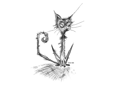 mad cat drawing