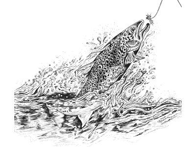 Trout Illustration black and white dotwork drawing fishing fly fishing hand drawn hand made illustration ink art ink pen linework pen and ink stipple trout