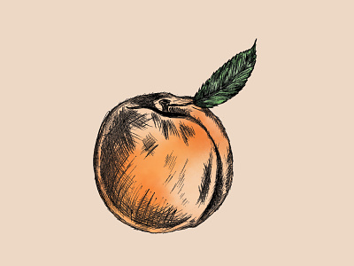 Peach Pen & Ink Illustration