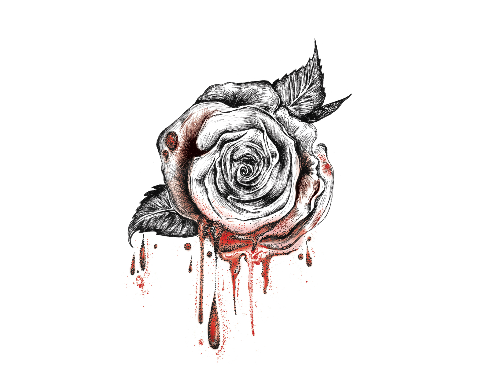 bleeding rose