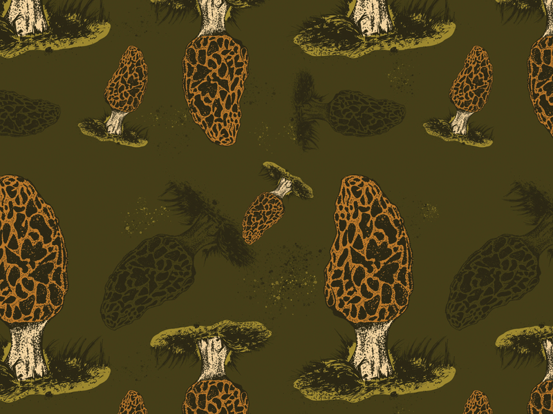 Morel Mushroom Repeat Pattern adventure design fabric fungi hand drawn illustration illustration art illustrator morel morel mushroom mountaineer mushroom nature outdoors packaging pattern pen and ink repeat pattern surface design textile