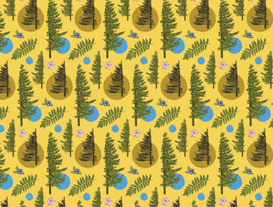 Yellow Dolly Sods Repeat Wilderness Pattern apparel dolly sods fabric hiking hipster illustration nature outdoors pattern pattern design pine tree repeat retro spruce tree surface pattern textile tree vintage wallpaper wild