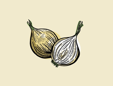 Onion Illustration adobe cook cookbook cooking digital drawing etching food packaging hand drawn healthy illustration illustrator lino onion organic pen and ink soup vegetable veggie wood block