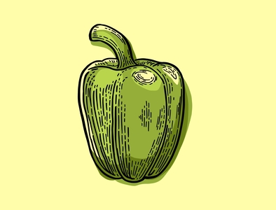 Green Pepper Illustration branding cook cooking design drawing etching garden graphic design green pepper healthy illustration illustrator line art lino organic pepper vegetable vegetarian veggie wood block