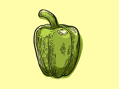Green Pepper Illustration
